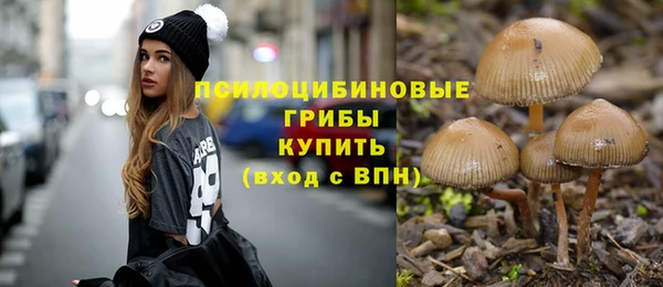 Альфа ПВП Алексин
