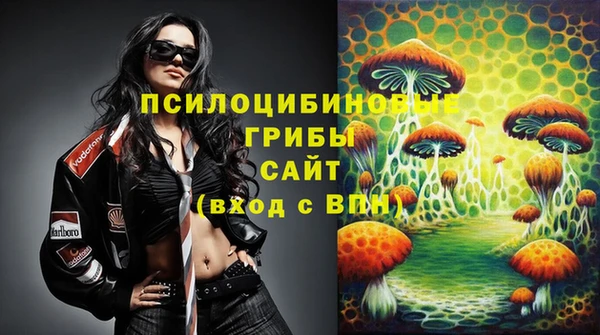 Альфа ПВП Алексин