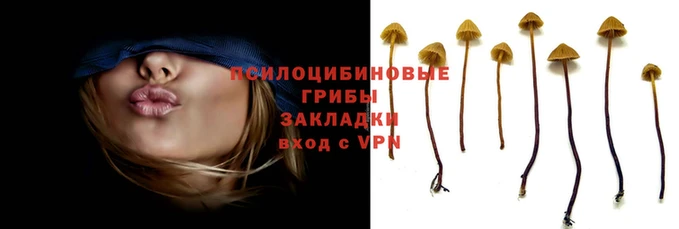spice Алексеевка